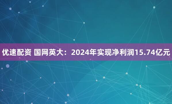 优速配资 国网英大：2024年实现净利润15.74亿元