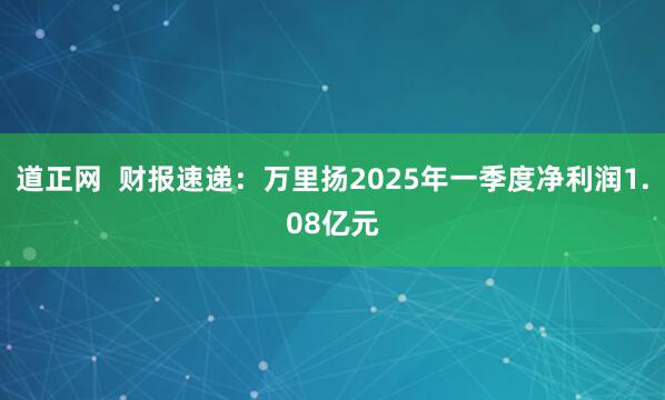 道正网  财报速递：万里扬2025年一季度净利润1.08亿元