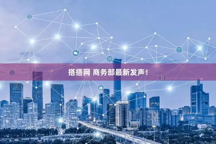 搭搭网 商务部最新发声！