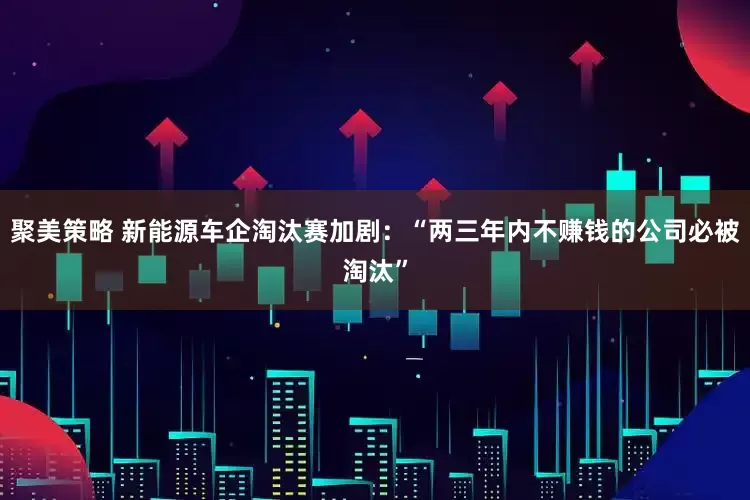 聚美策略 新能源车企淘汰赛加剧：“两三年内不赚钱的公司必被淘汰”