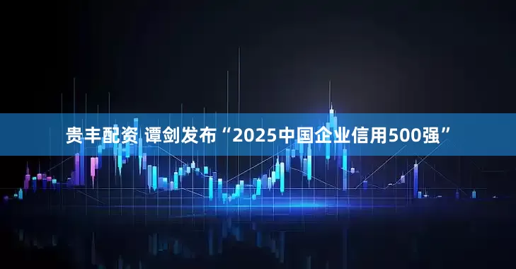 贵丰配资 谭剑发布“2025中国企业信用500强”