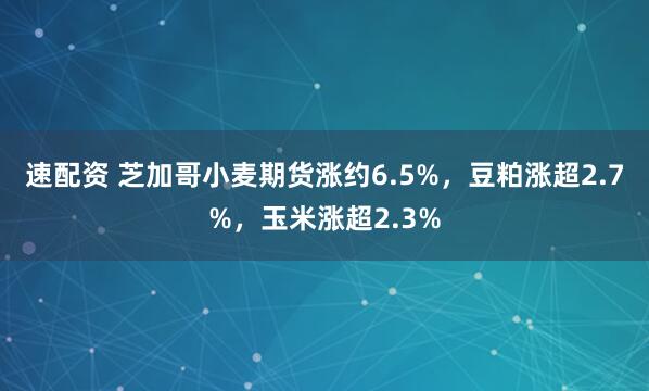 速配资 芝加哥小麦期货涨约6.5%，豆粕涨超2.7%，玉米涨超2.3%